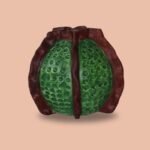 Terracotta Planter