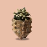 Terracotta Planter