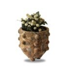 Terracotta Planter - Image 2